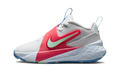 Nike Team Hustle D 12 Off-White/Aurora Blue/Tropical Pink/Arctic Green