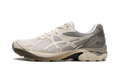 ASICS GT-2160 DIME Arctic Wolf