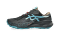 ASICS Gel-Trabuco 14 Gore-Tex Black Misty Pine