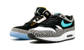 Air Jordan 3 Retro & Nike Air Max 1 atmos Pack