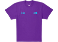 KAWS x The North Face T-Shirt Gravity Purple