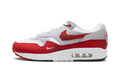 Nike Air Max 1 .SWOOSH Low Poly