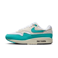 Nike Air Max 1 Dusty Cactus
