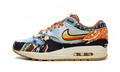 Nike Air Max 1 SP Concepts Heavy