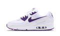 Nike Air Max 90 Color Pack Court Purple