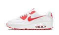 Nike Air Max 90 Color Pack University Red