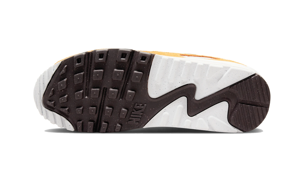 Nike Air Max 90 Leopard (2022)