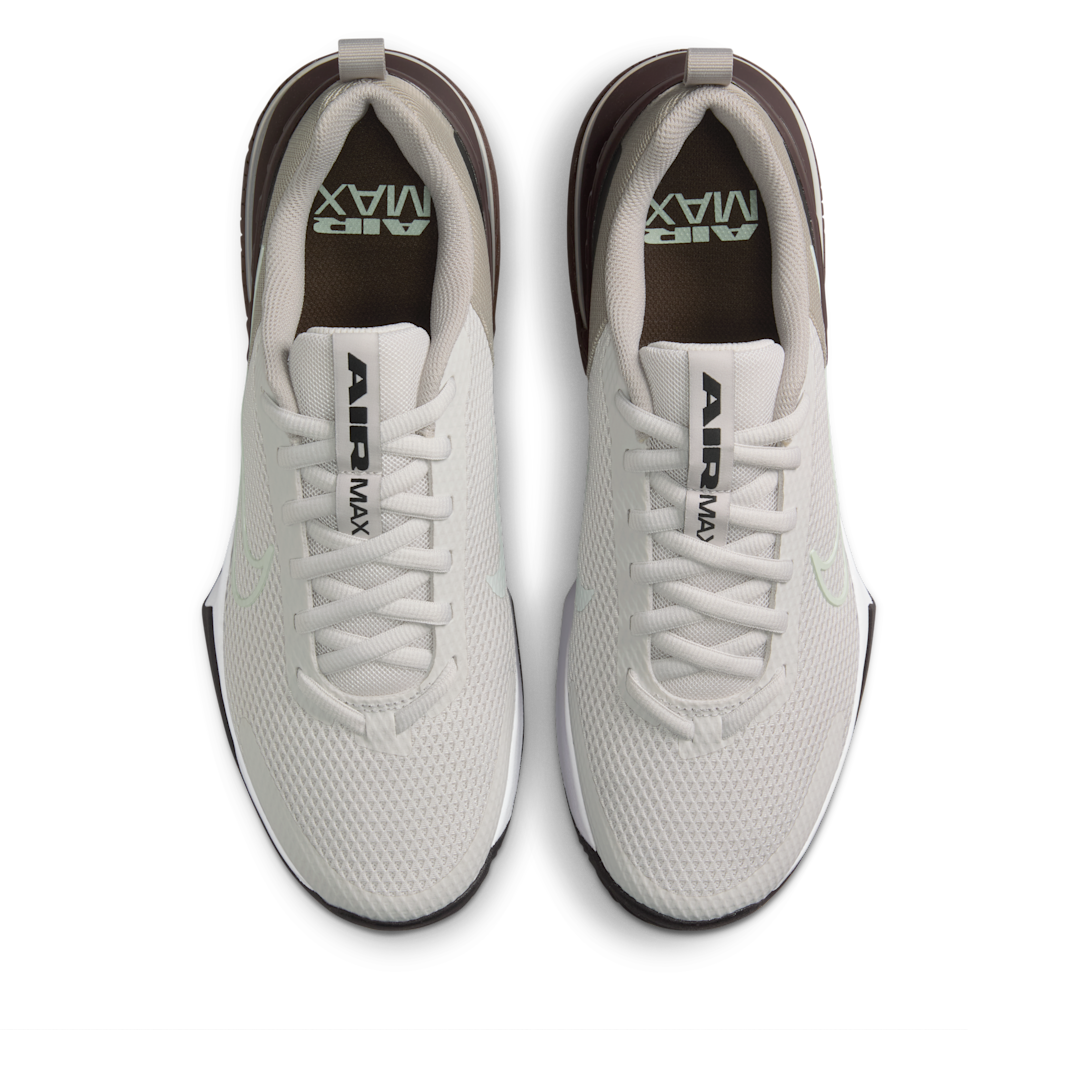 Nike Air Max Alpha Trainer 6 Platinum Tint College Grey Black Barely Green, Platinum Tint/College Grey/Black/Barely Green (FQ1833-008)