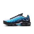 Nike Air Max Plus Black Hydrangeas