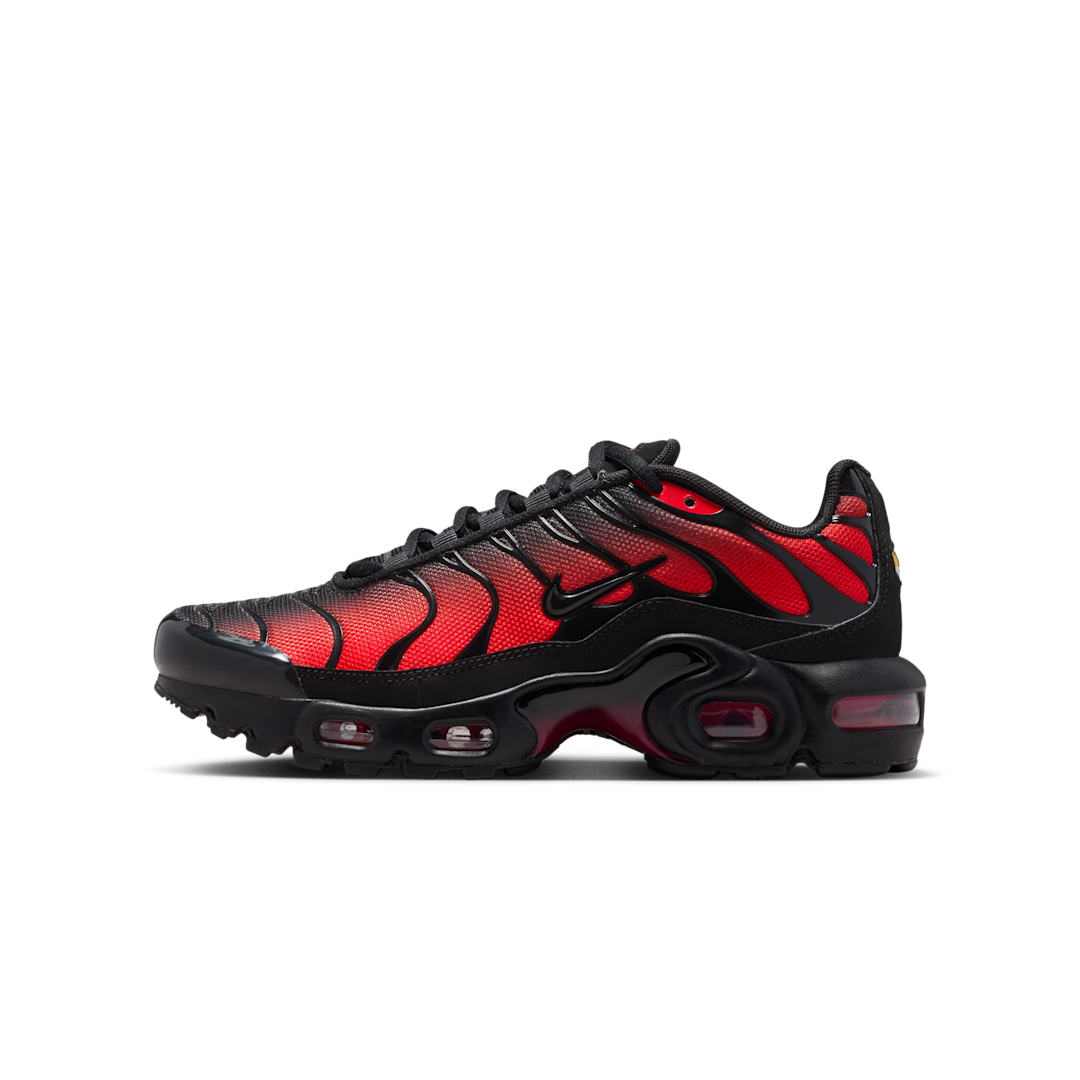 Nike Air Max Plus Black Light Crimson