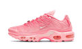 Nike Air Max Plus City Special ATL