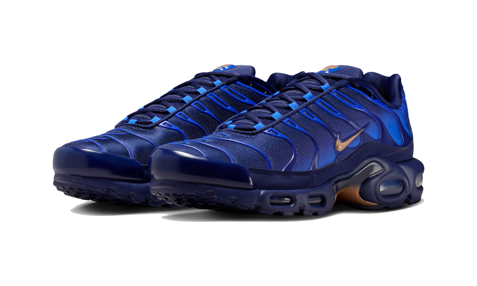 Nike Air Max Plus French Football Federation
