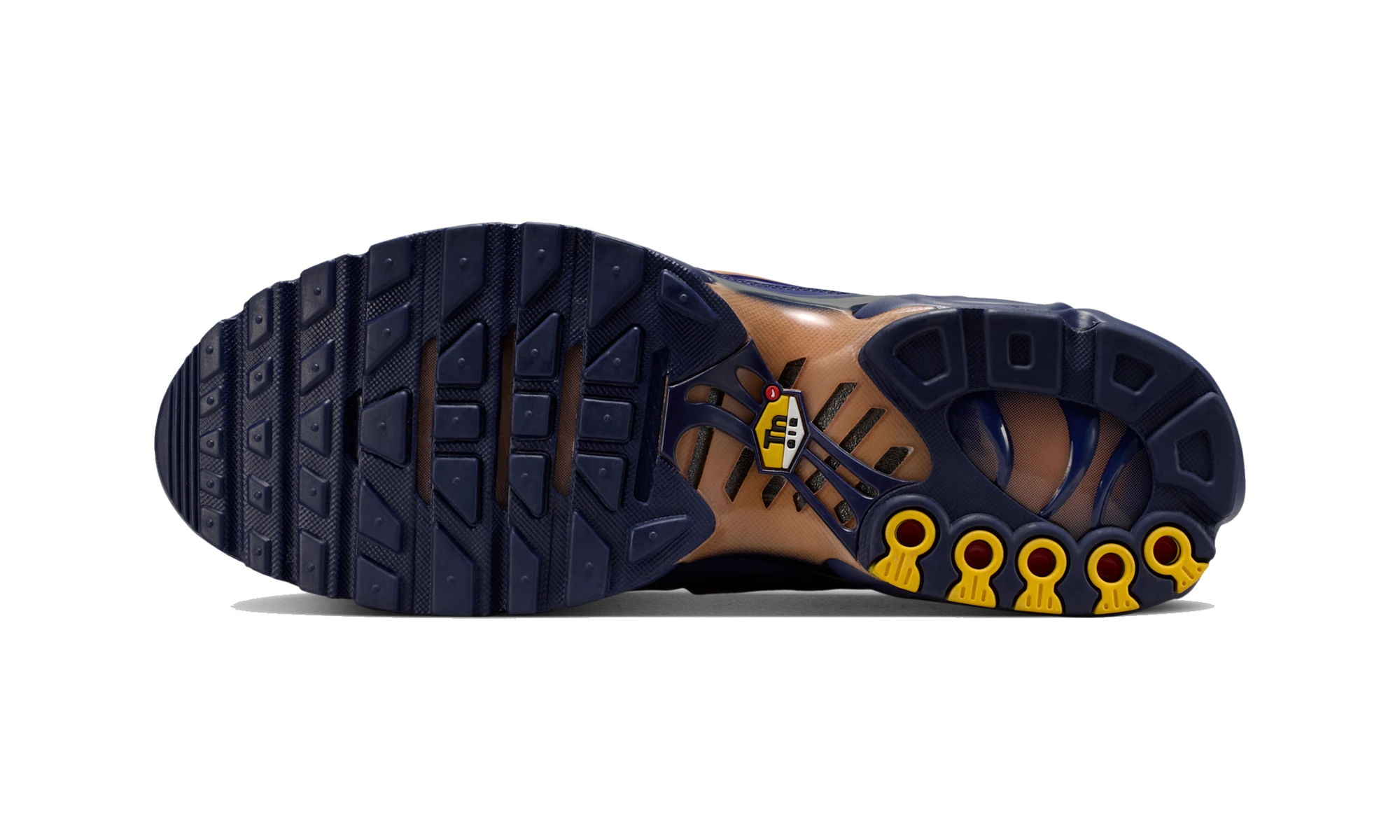 Nike Air Max Plus French Football Federation