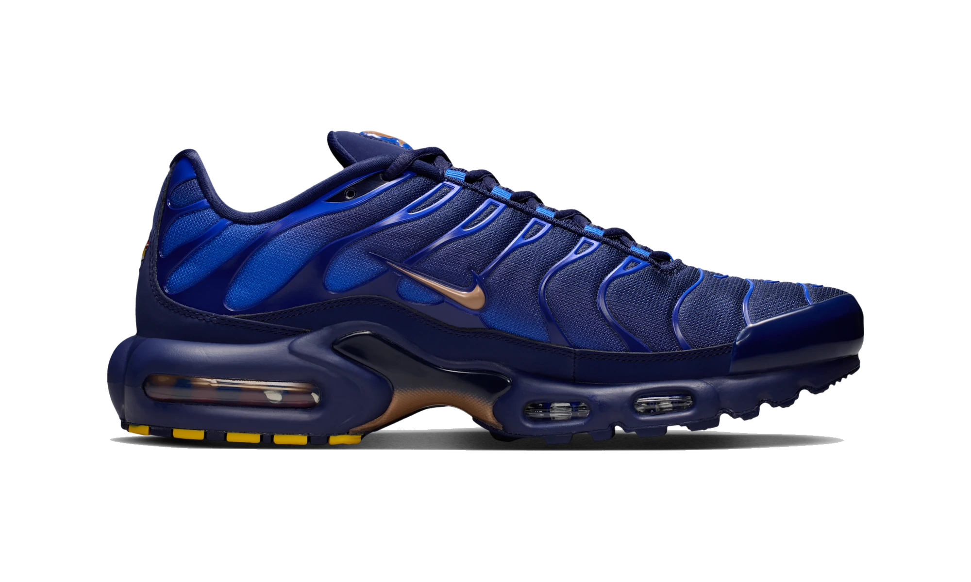 Nike Air Max Plus French Football Federation