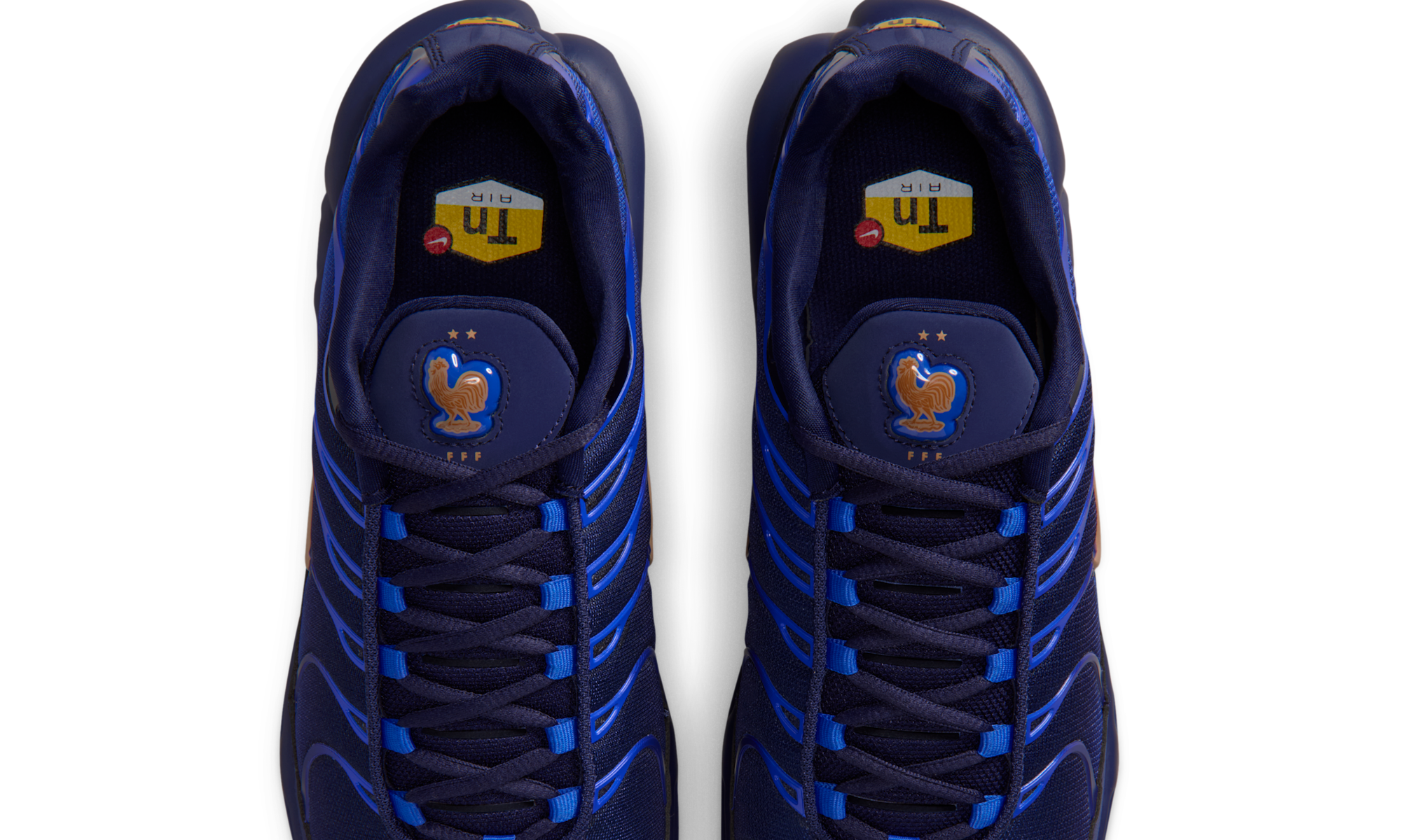 Nike Air Max Plus French Football Federation