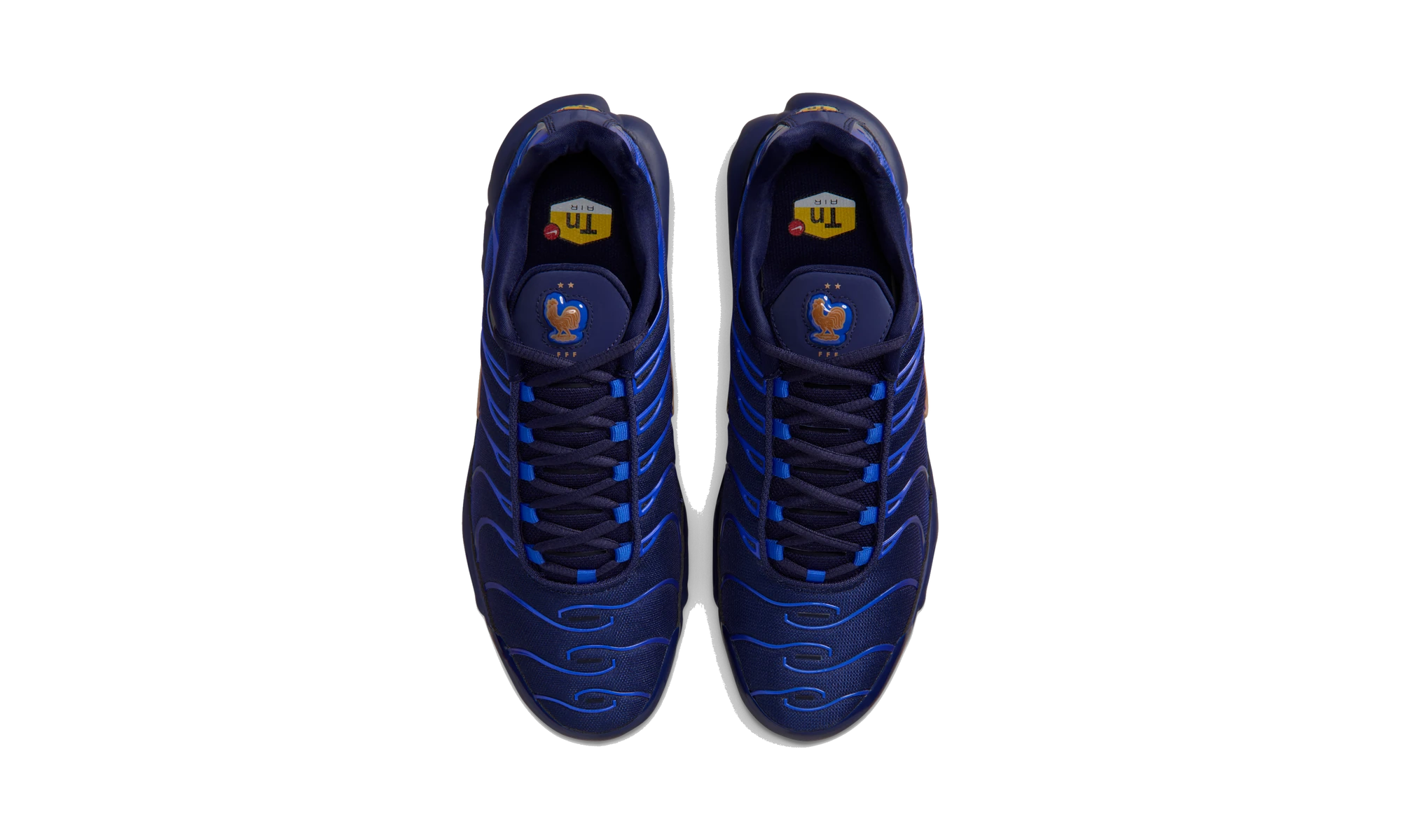 Nike Air Max Plus French Football Federation