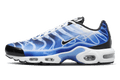 Nike Air Max Plus Light Photography Old Royal