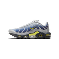 Nike Air Max Plus Obsidian Silver