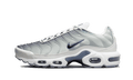 Nike Air Max Plus Smoke Grey Ashen Slate