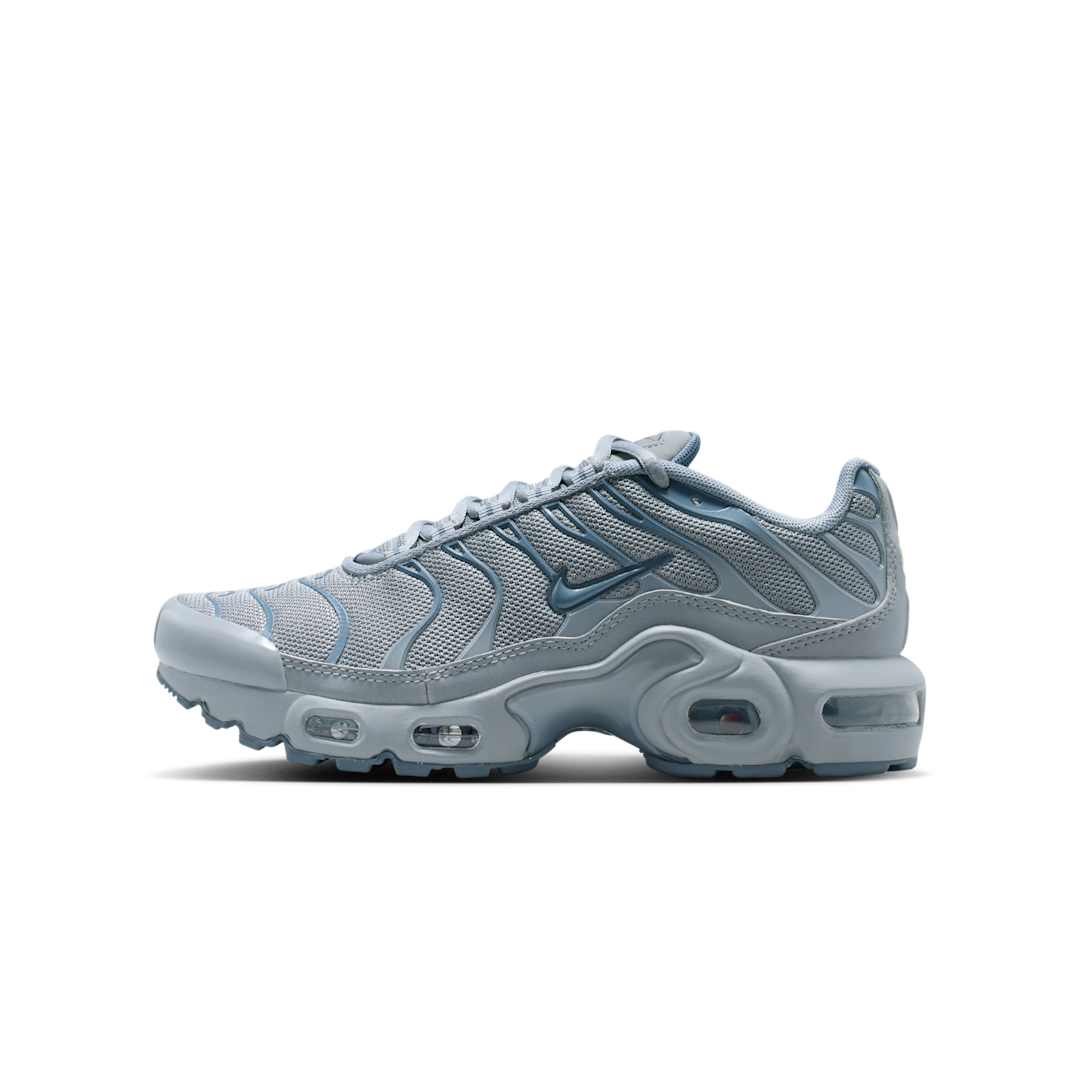Nike Air Max Plus Stealth Monsoon Blue, Stealth/Monsoon Blue/Off Noir/Armory Blue (CD0609-042)
