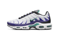 Nike Air Max Plus White Grape Ice
