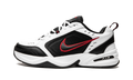 Nike Air Monarch IV White Black