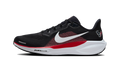 Nike Air Zoom Pegasus 41 Houston Texans (2025)