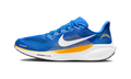 Nike Air Zoom Pegasus 41 Los Angeles Chargers (2025)