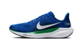Nike Air Zoom Pegasus 41 Seattle Seahawks (2025)