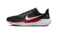Nike Air Zoom Pegasus 41 Tampa Bay Buccaneers (2025)