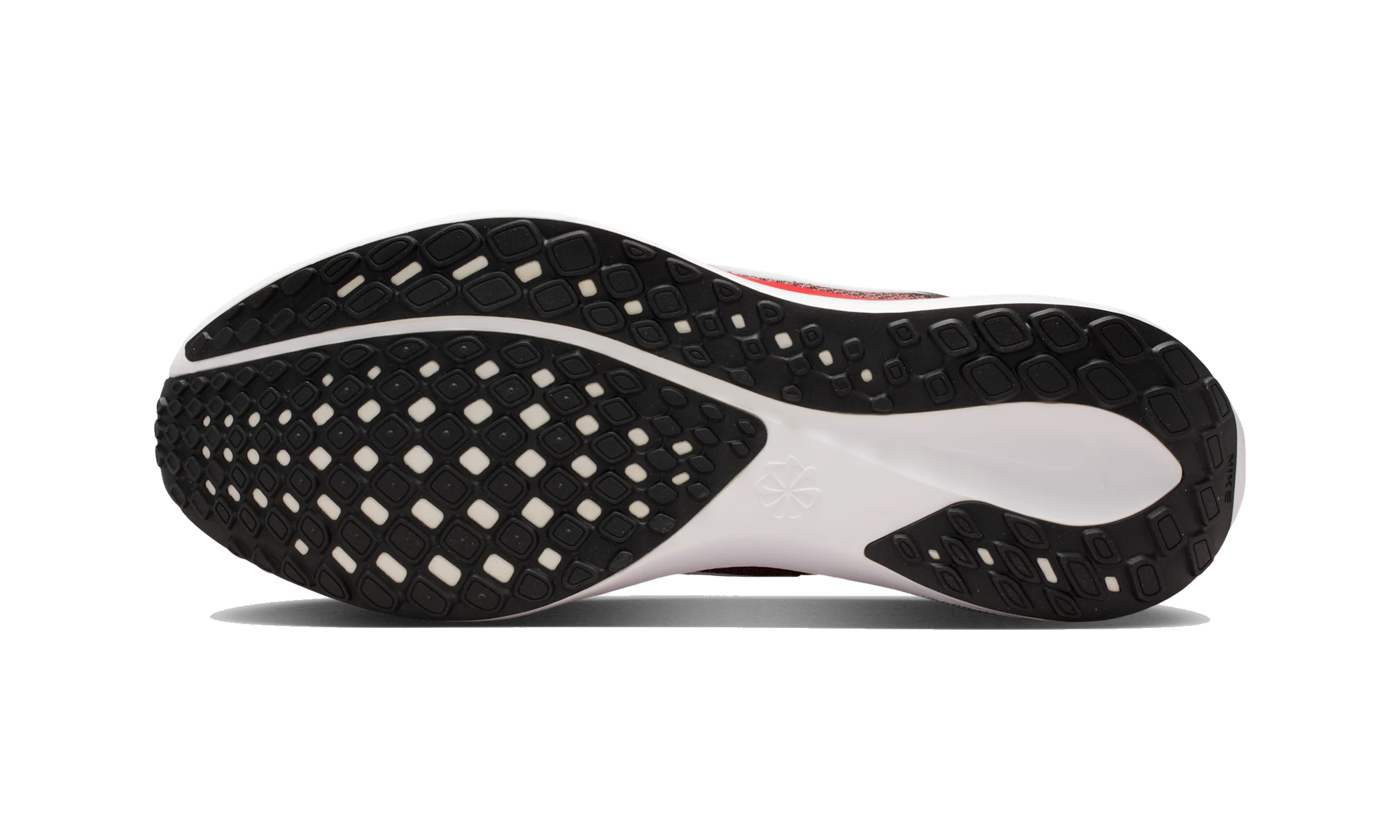 Nike Air Zoom Pegasus 41 Tampa Bay Buccaneers (2025)
