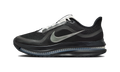Nike Air Zoom Pegasus Premium SP Black Metallic Silver