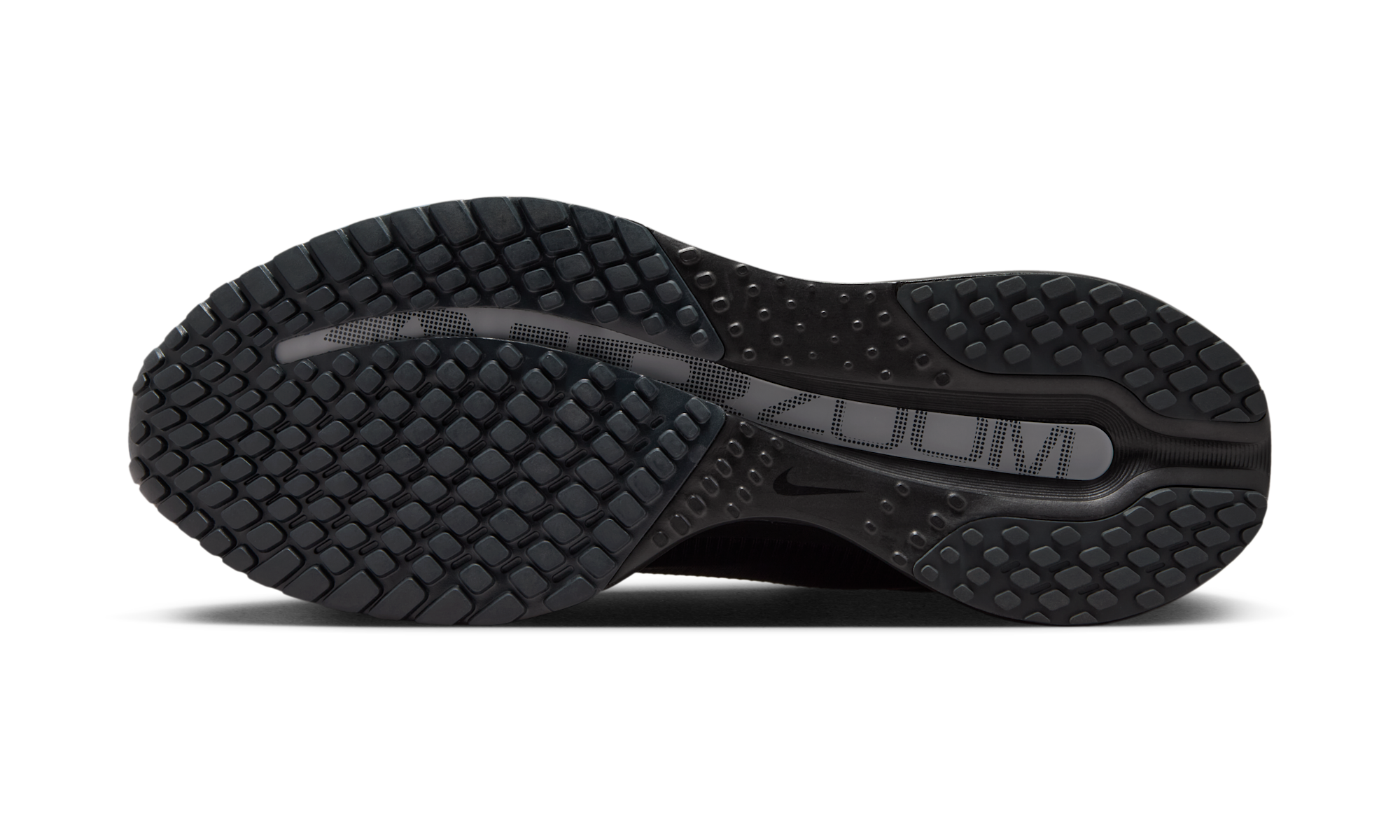Nike Air Zoom Pegasus Premium SP Black Metallic Silver