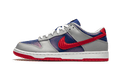 Nike Dunk Low CO.JP Samba (2020)