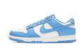 Nike Dunk Low Coast