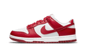 Nike Dunk Low Next Nature White Gym Red