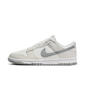 Nike Dunk Low Retro Summit White Light Smoke Grey