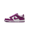 Nike Dunk Low Viotech