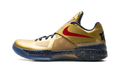 Nike KD 4 Gold Medal (2025)