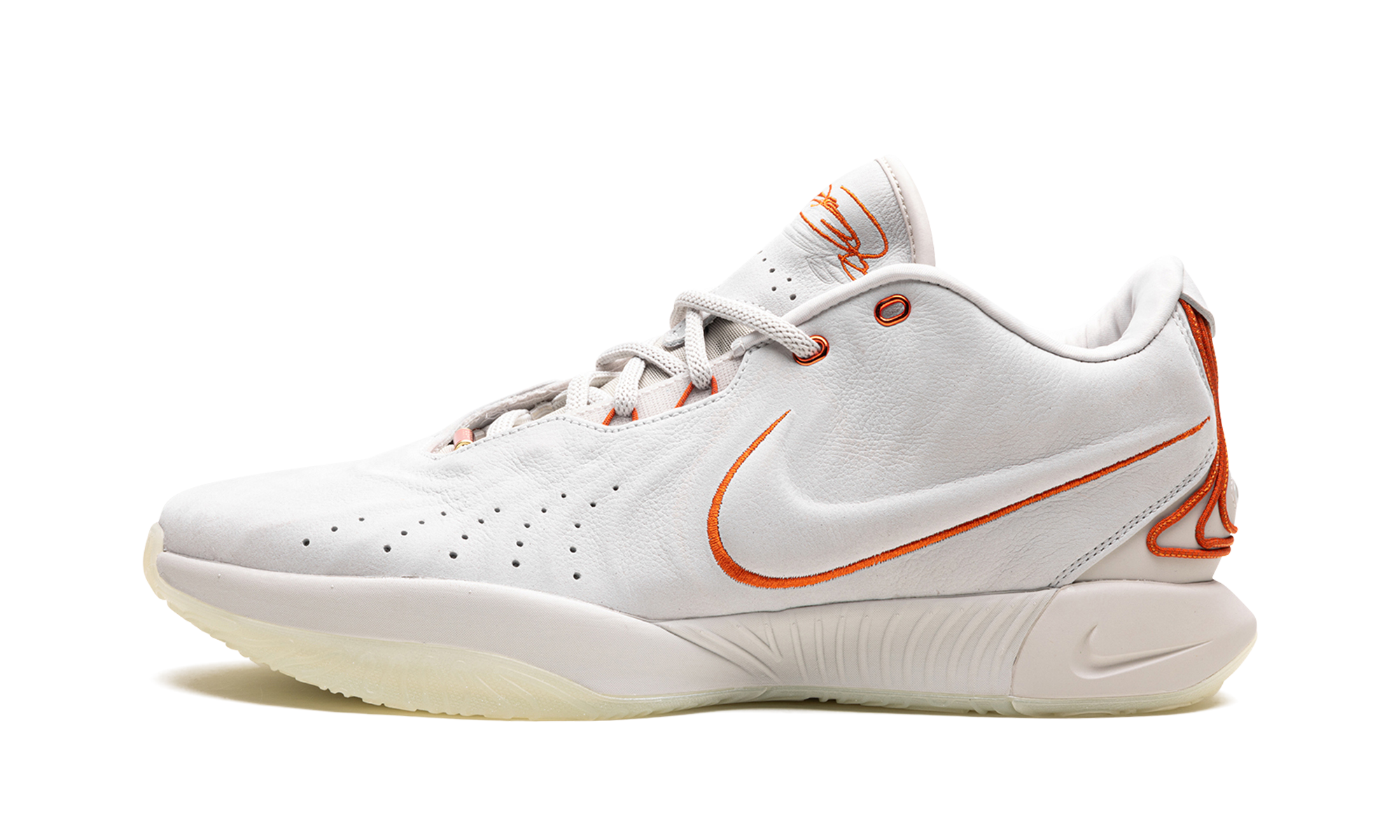 Nike LeBron 21 Akoya