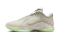 Nike LeBron 22 Dunkman (Translucent Outsole)