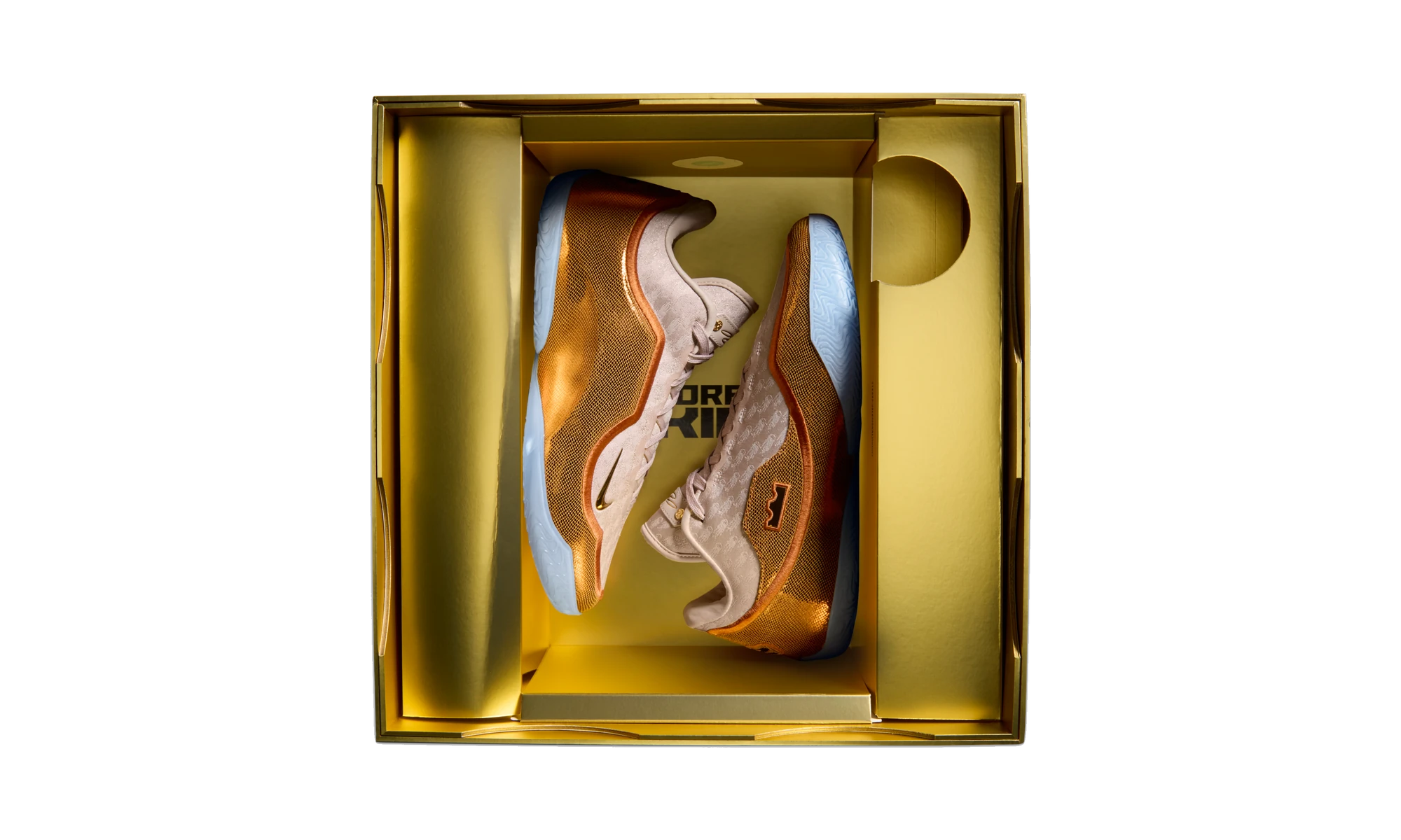Nike LeBron 23 LeBronto
