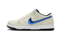 Nike SB Dunk Low Truck It