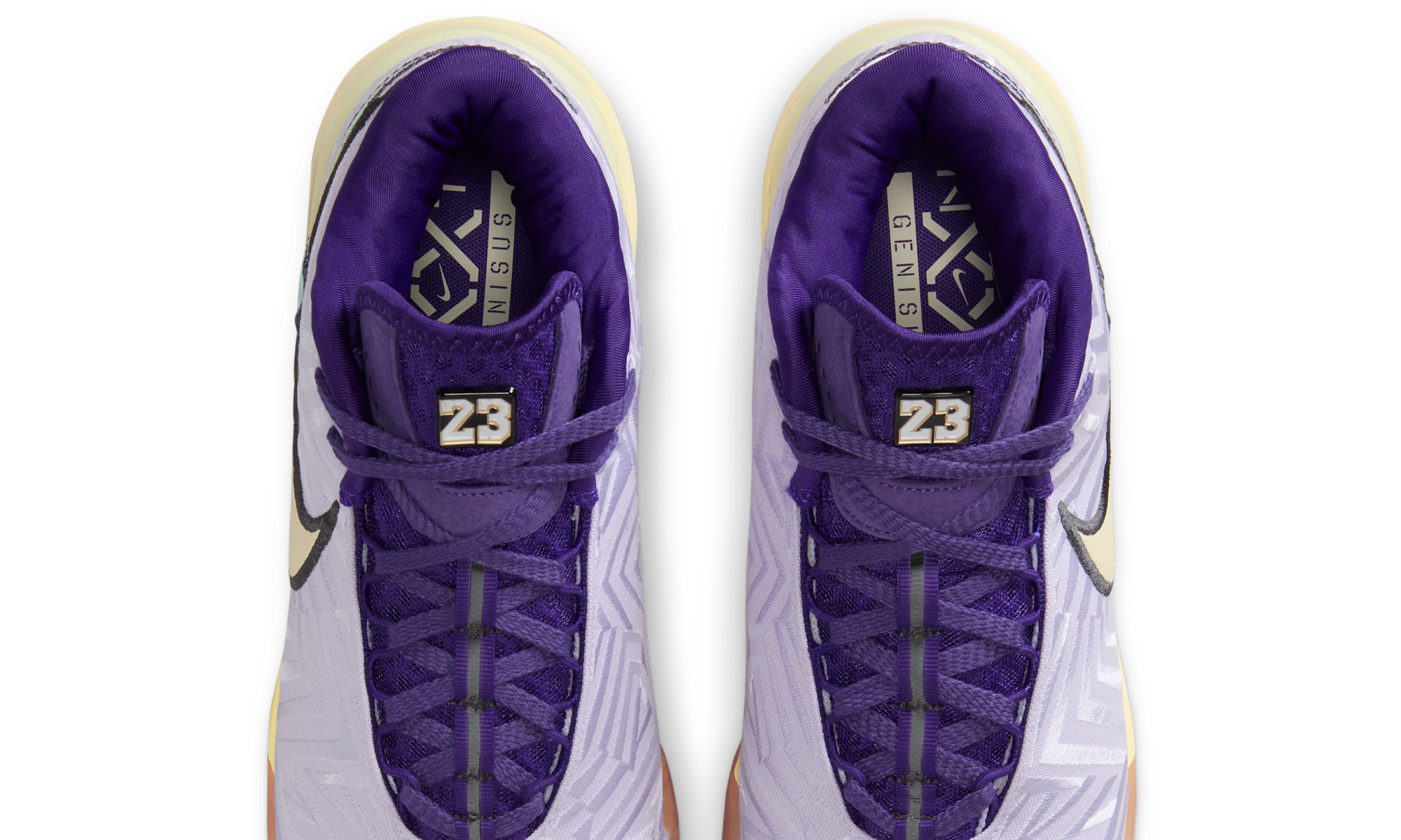 Nike Zoom LeBron NXXT Genisus Amethyst Tint Court Purple