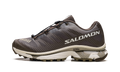 Salomon XT-4 OG Aurora Borealis Canteen