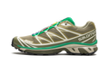 Salomon XT-6 Dried Herb