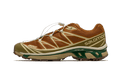 Salomon XT-6 Rubber Lizard