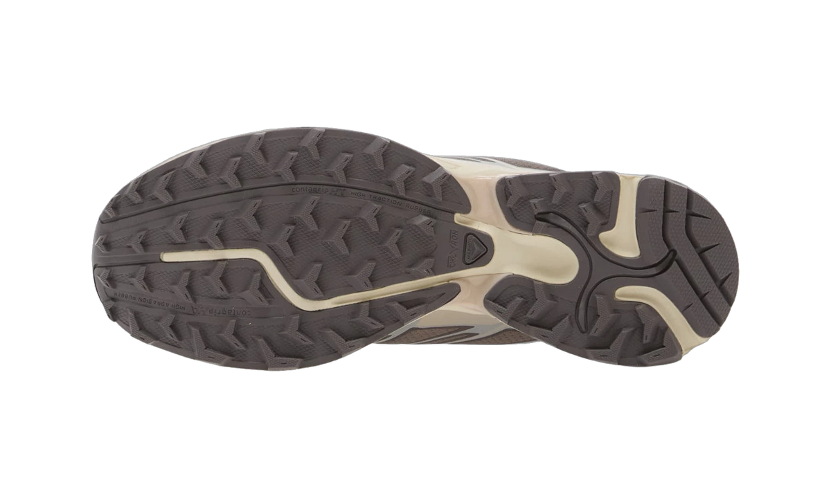Salomon XT-Pathway 2 Gull Silver Lilac Ash