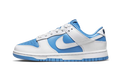 Nike Dunk Low Reverse UNC