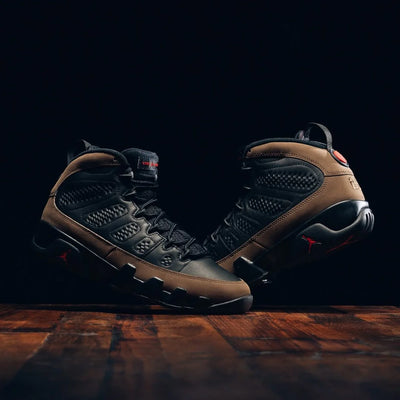 Air Jordan 9